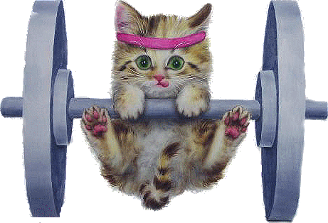 Vie de chat heureux - Page 3 Vie de chat heureux - Page 3